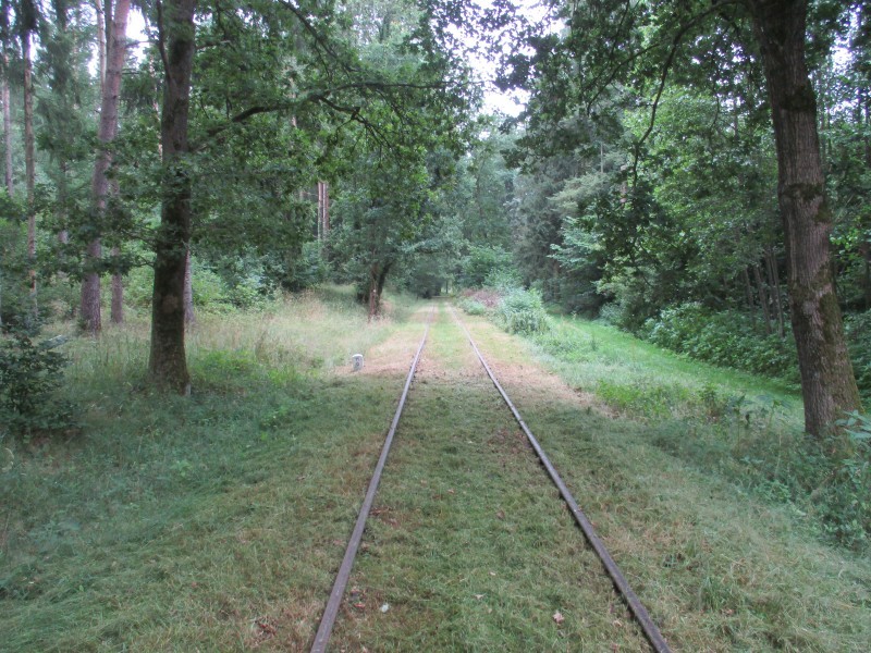 ZWNEGI4